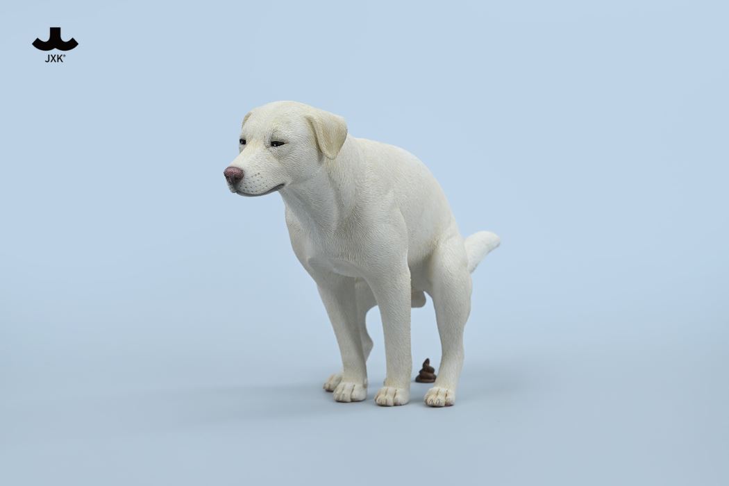 Labrador 1/6