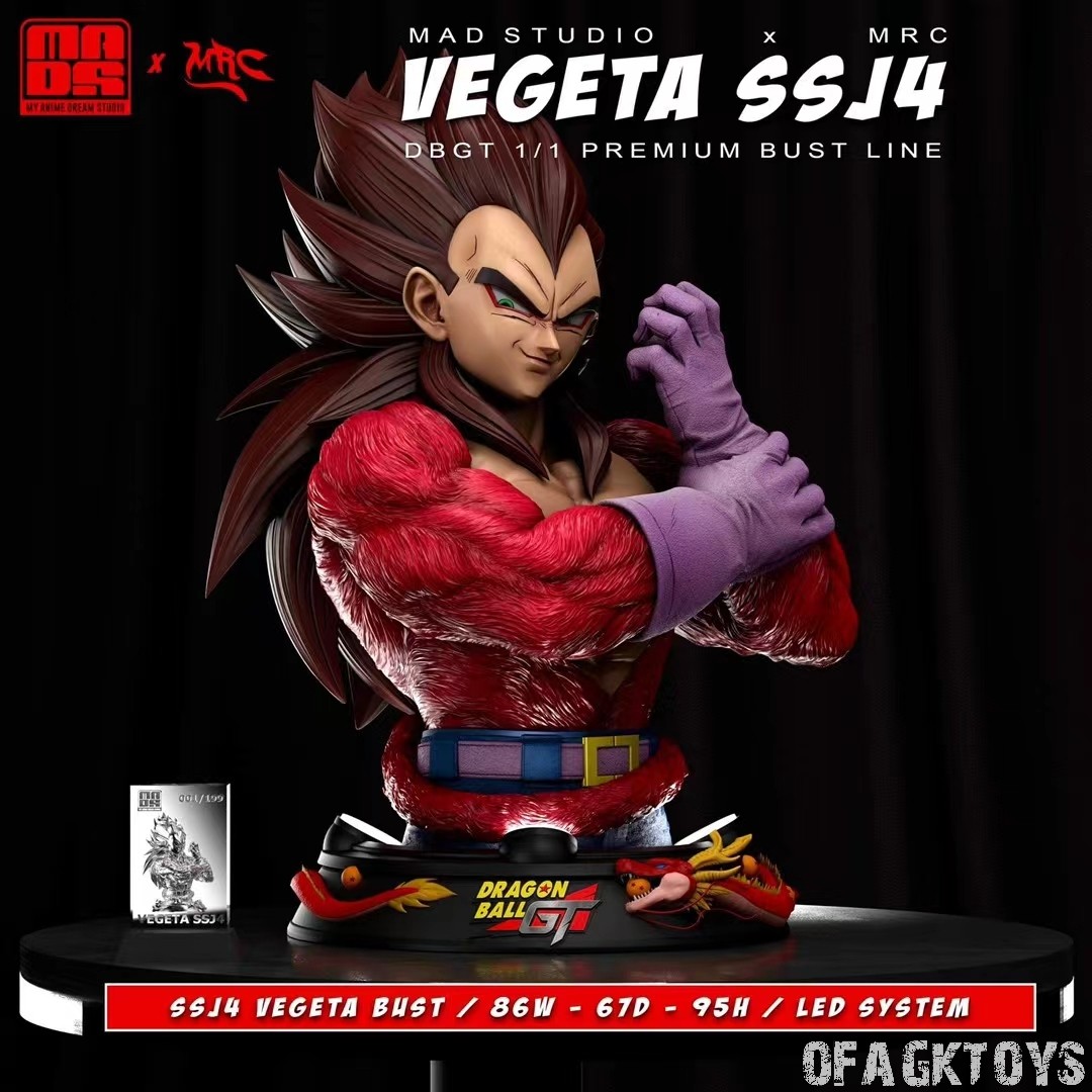 Vegeta SSJ4 - Dragon Ball