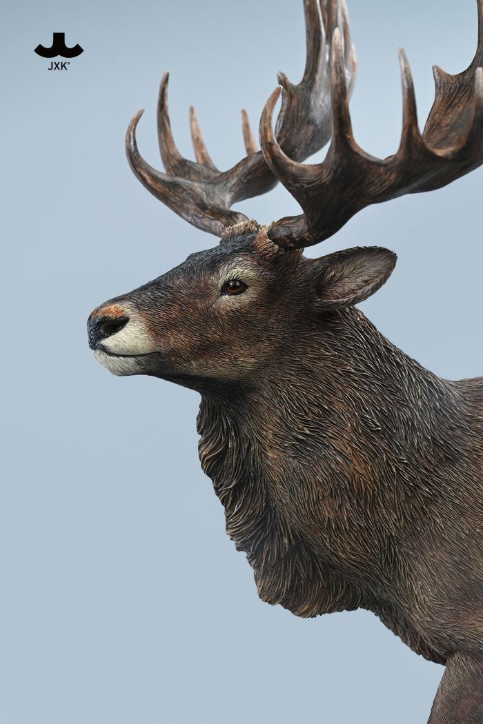 Reindeer 1/6