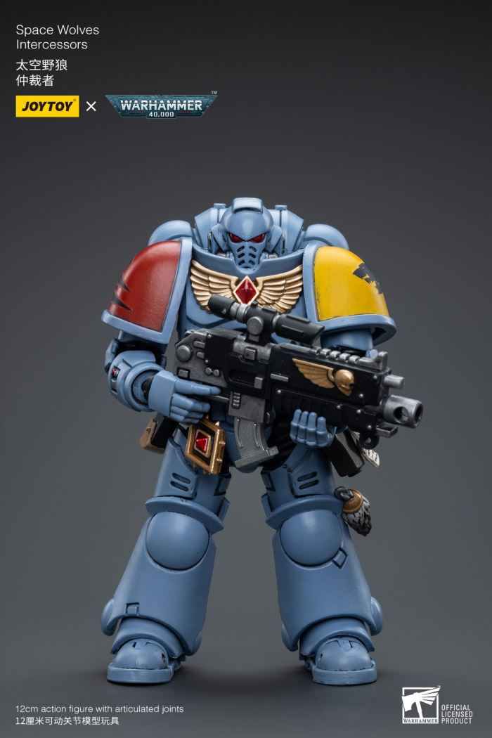Space Wolves / Sergeant Richards / Imperial Fists / Blood Angels / Primaris Advanced Brother Raymond 1/18