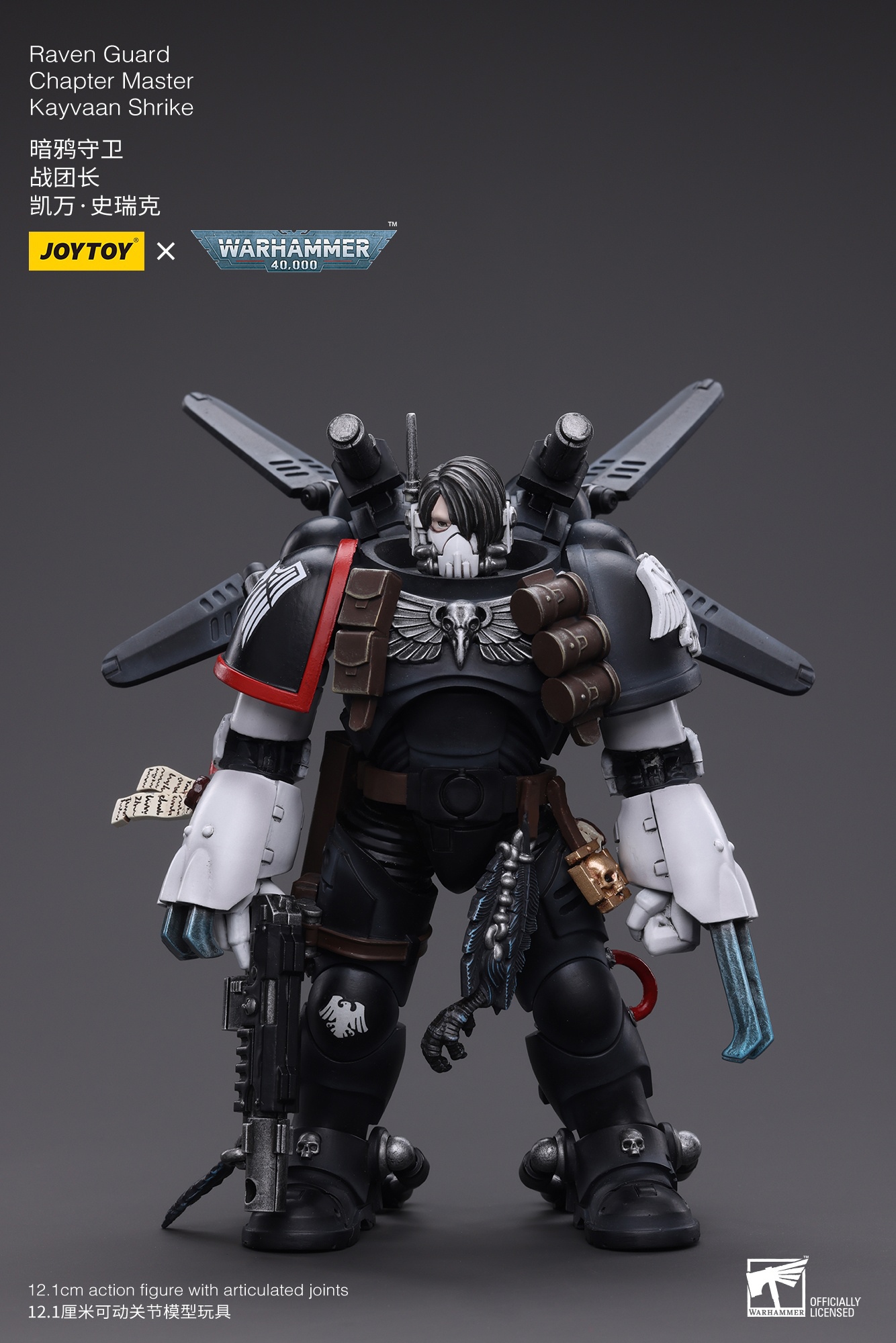 Raven Guard Chapter Master Kayvaan Shrike