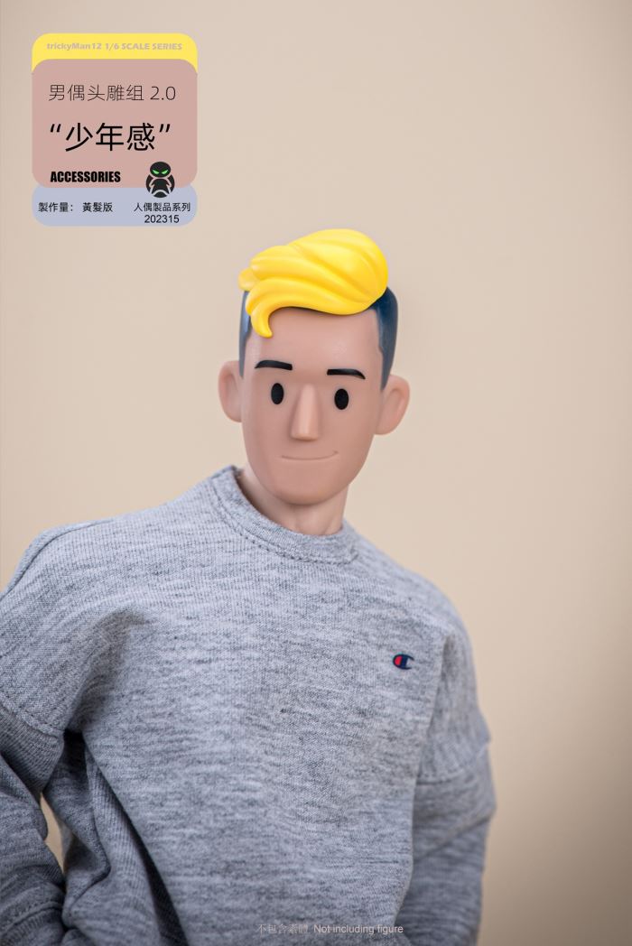 Male Doll Head Sculpture Set 2.0 Yellow Hair/Blue Hair 1/6