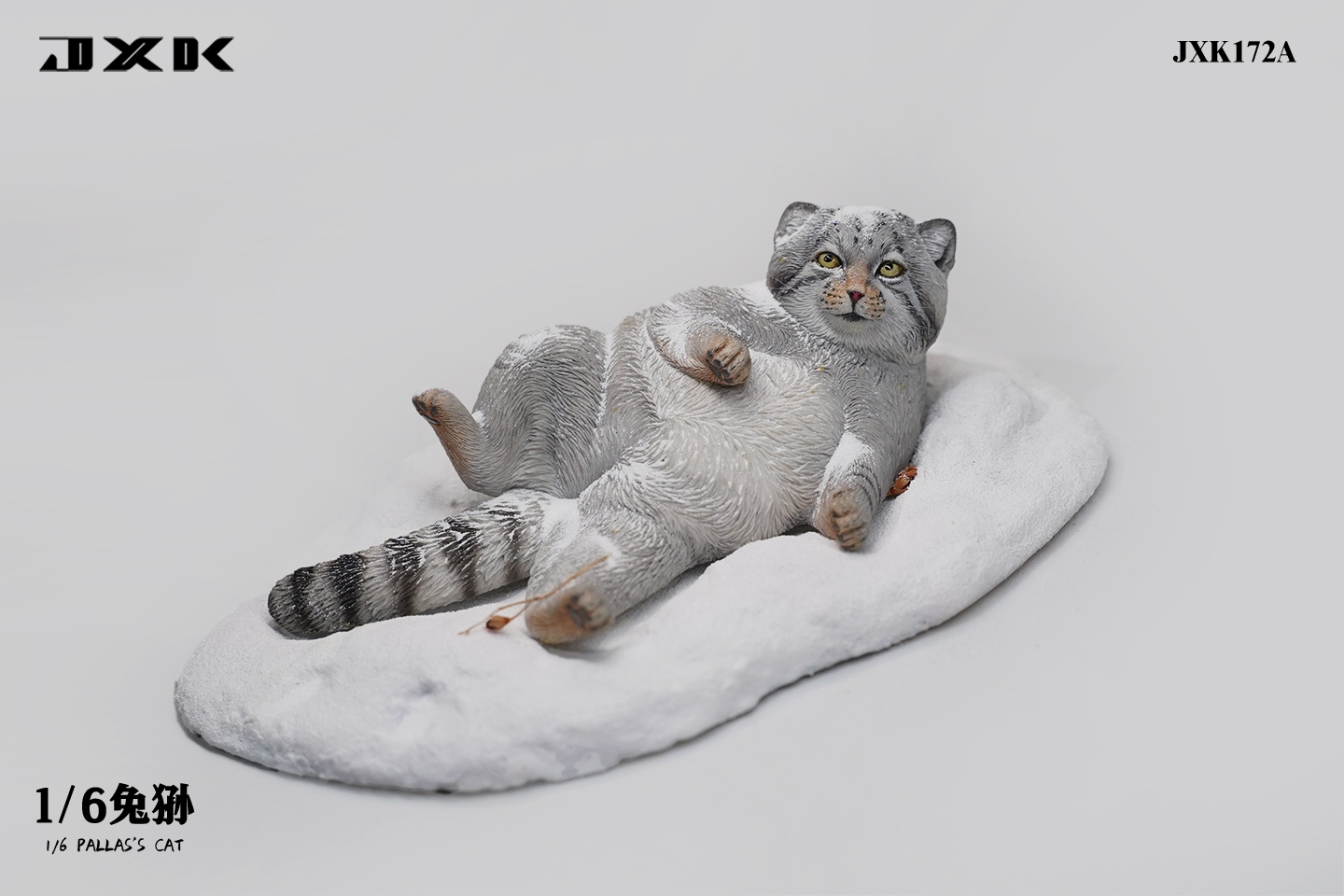 Pallas's Cat 1/6