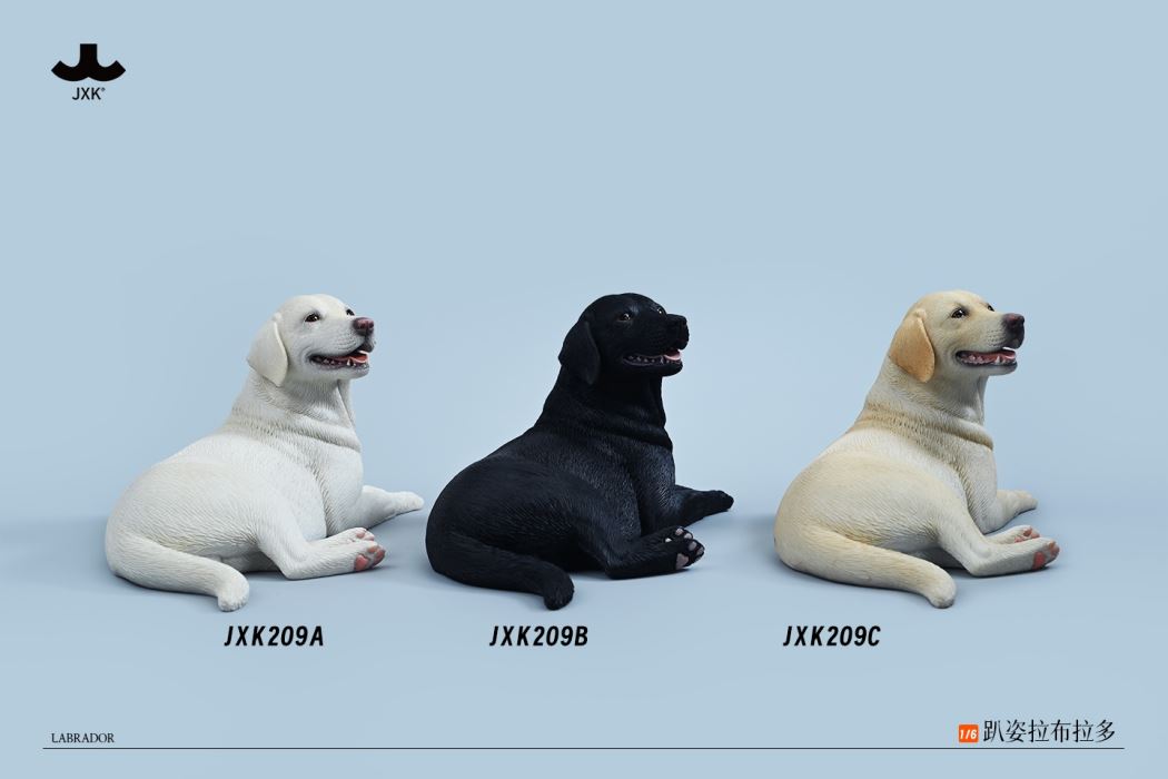 Labrador 1/6