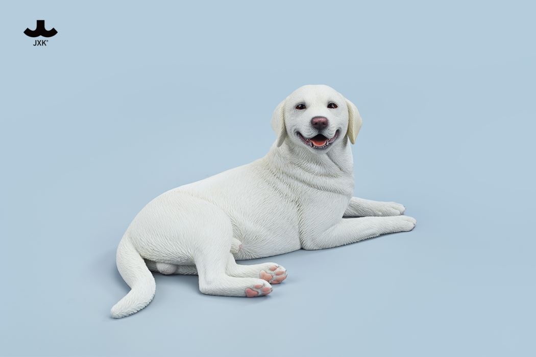 Labrador 1/6