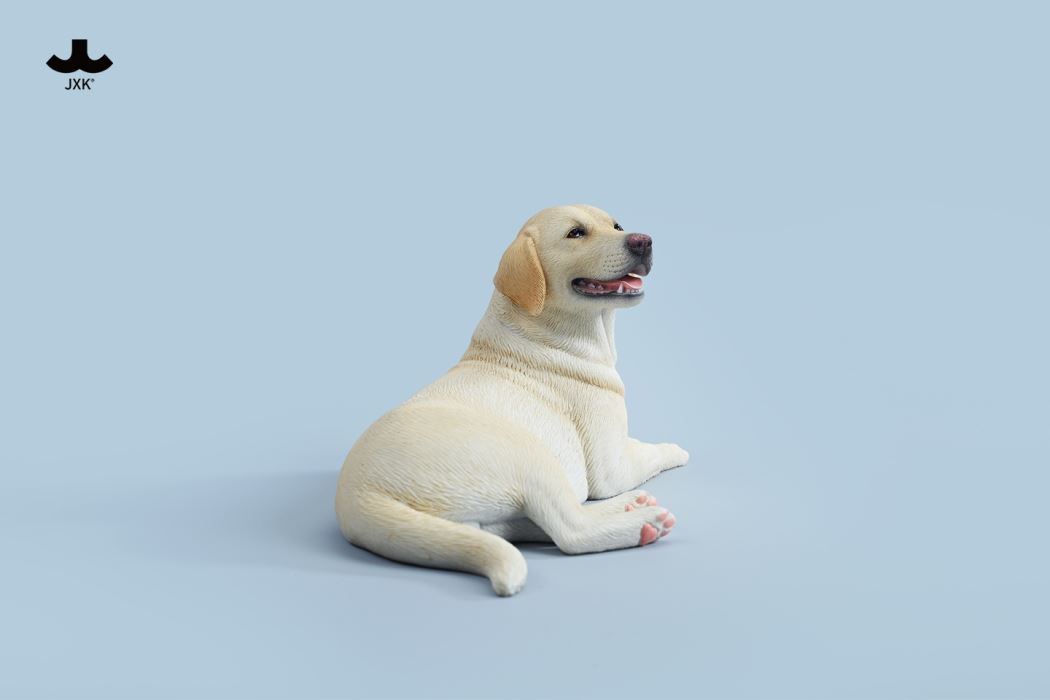 Labrador 1/6