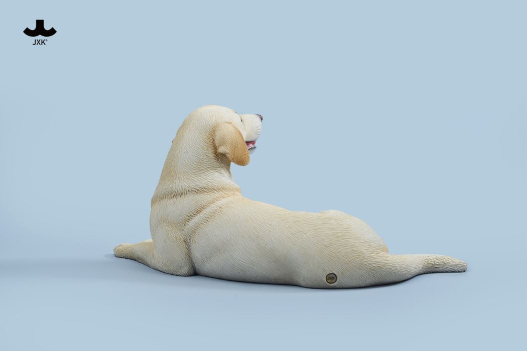 Labrador 1/6