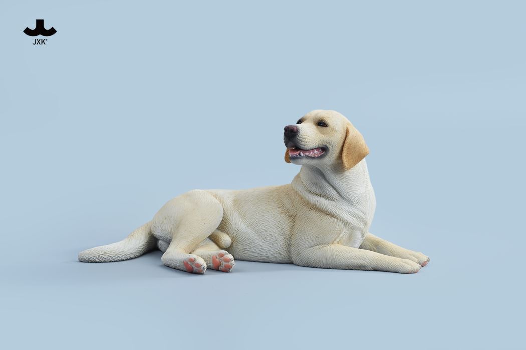 Labrador 1/6