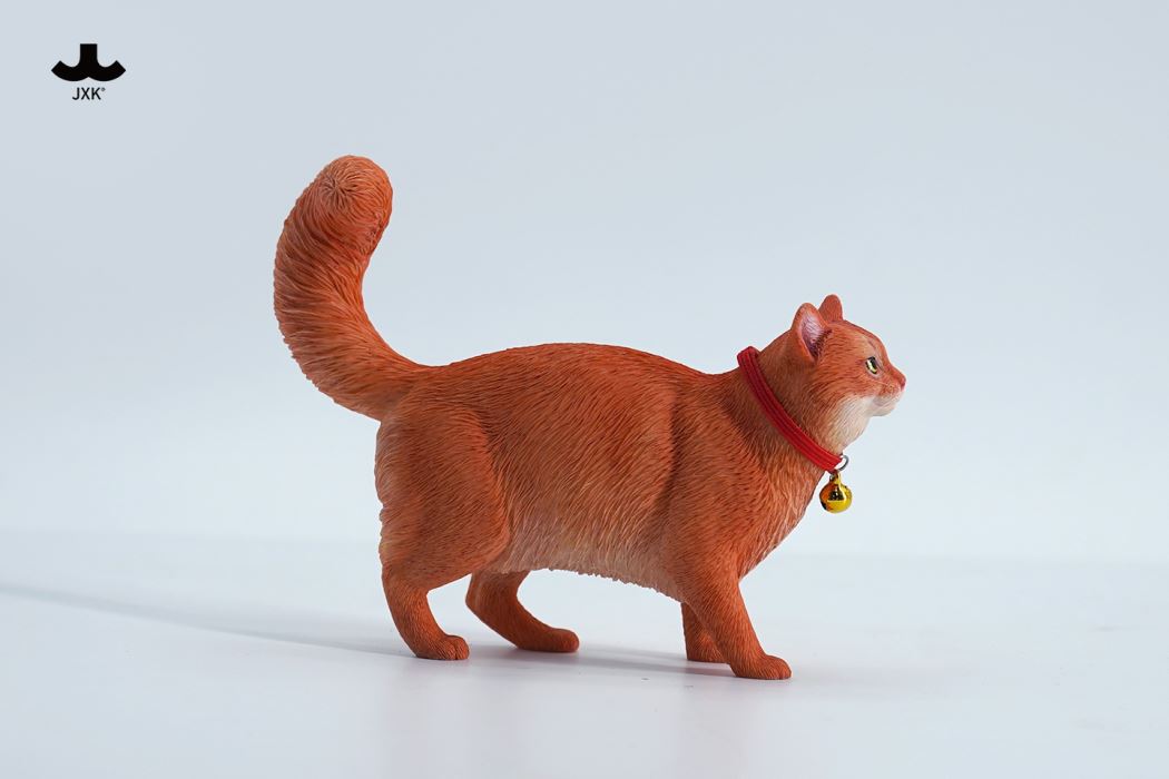 Somali cat (JXK211) 1/6