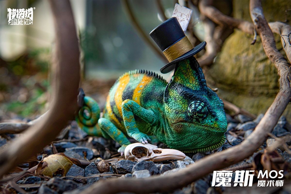 Chameleon Daydream series MOS’s Magic Dream 1/1
