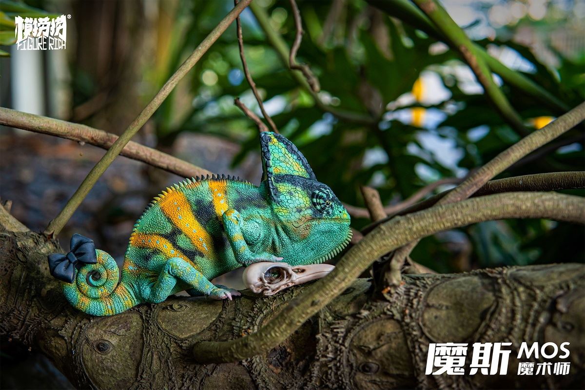 Chameleon Daydream series MOS’s Magic Dream 1/1