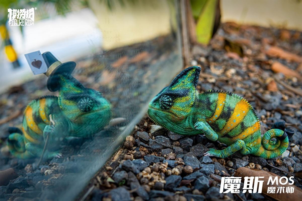 Chameleon Daydream series MOS’s Magic Dream 1/1