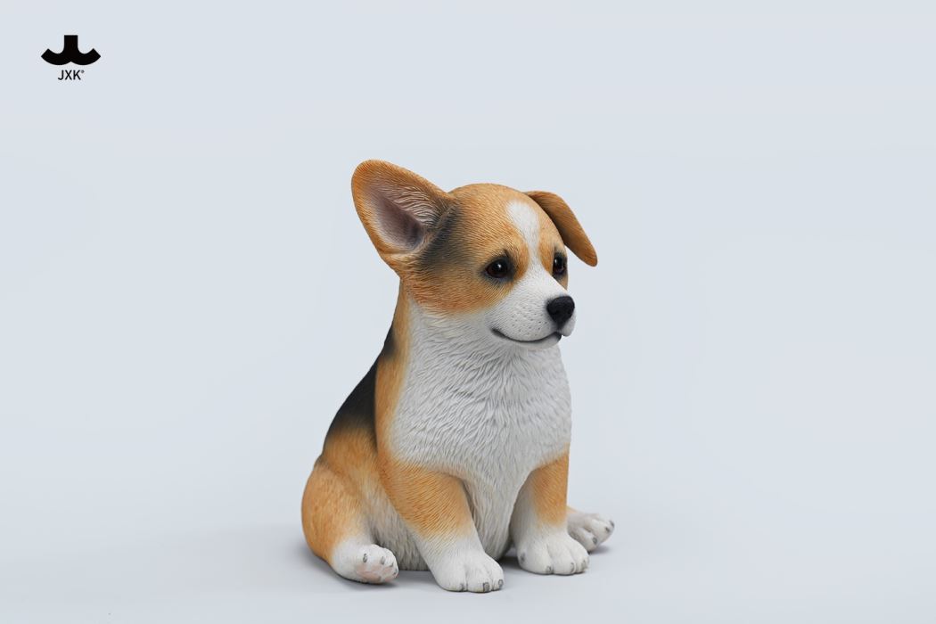 Sitting welsh corgi