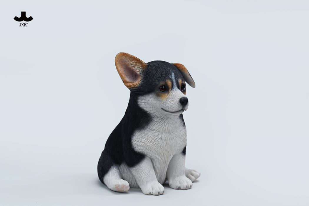 Sitting welsh corgi