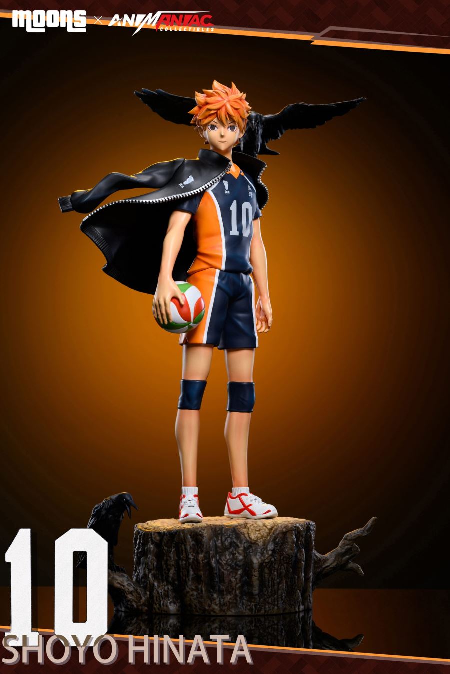 Shoyo Hinata - Haikyu!!