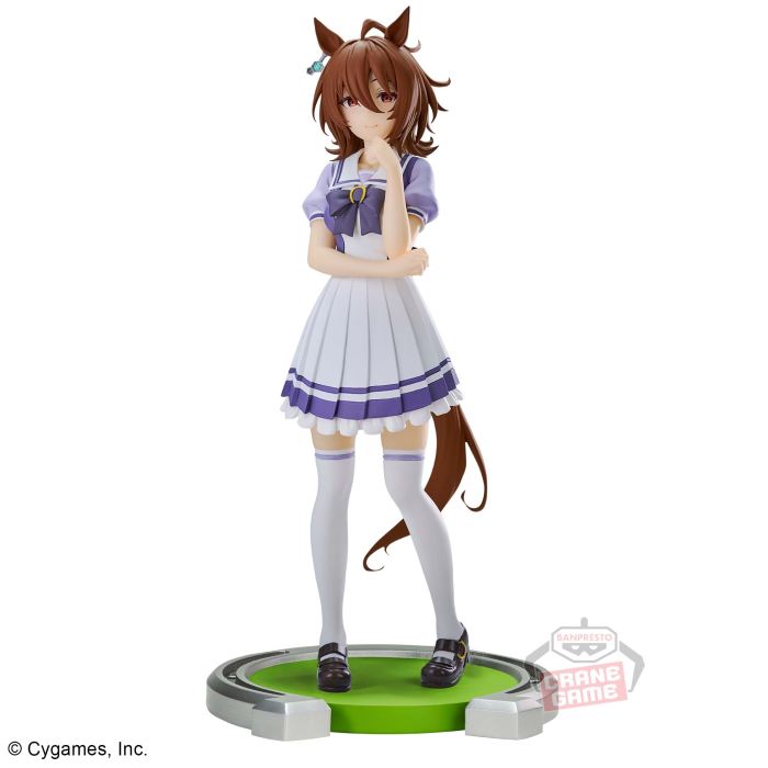 Uma Musume Pretty Derby Agnes Stachyon