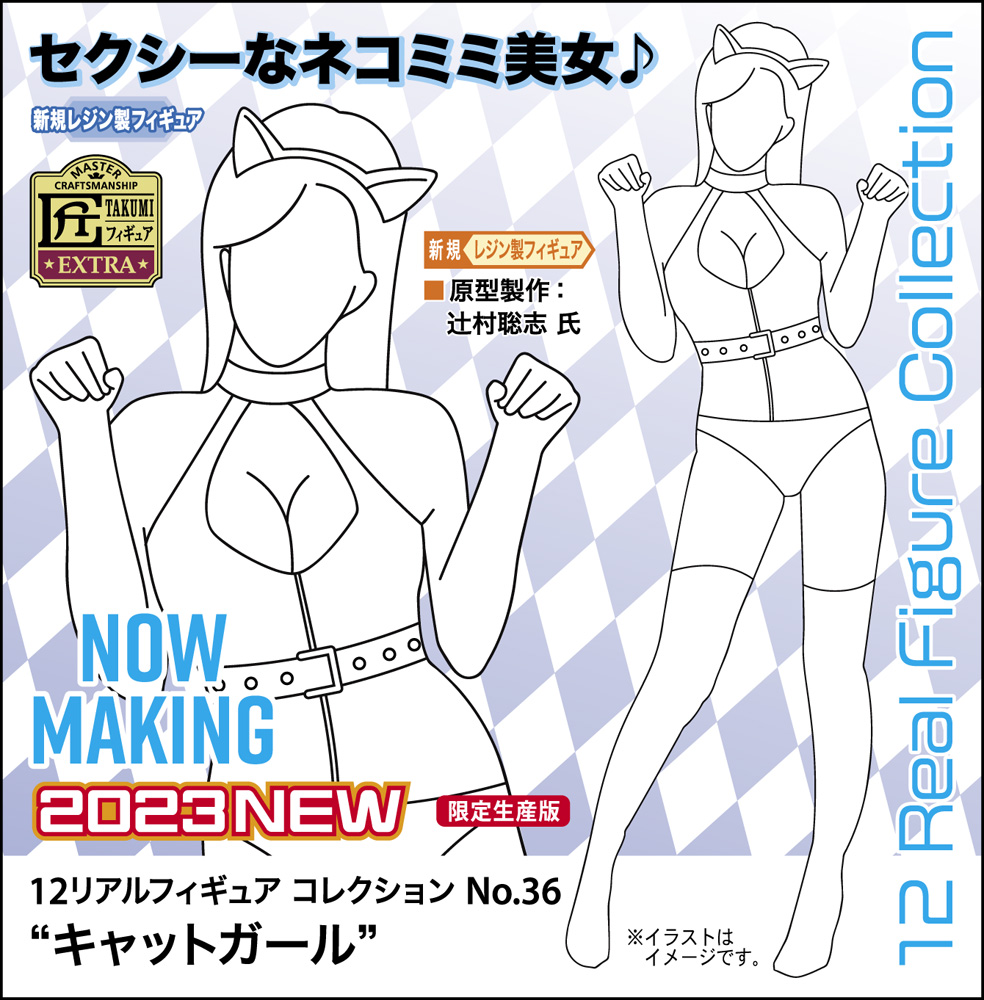 12 Real Figure Collection No.36 Cat Girl