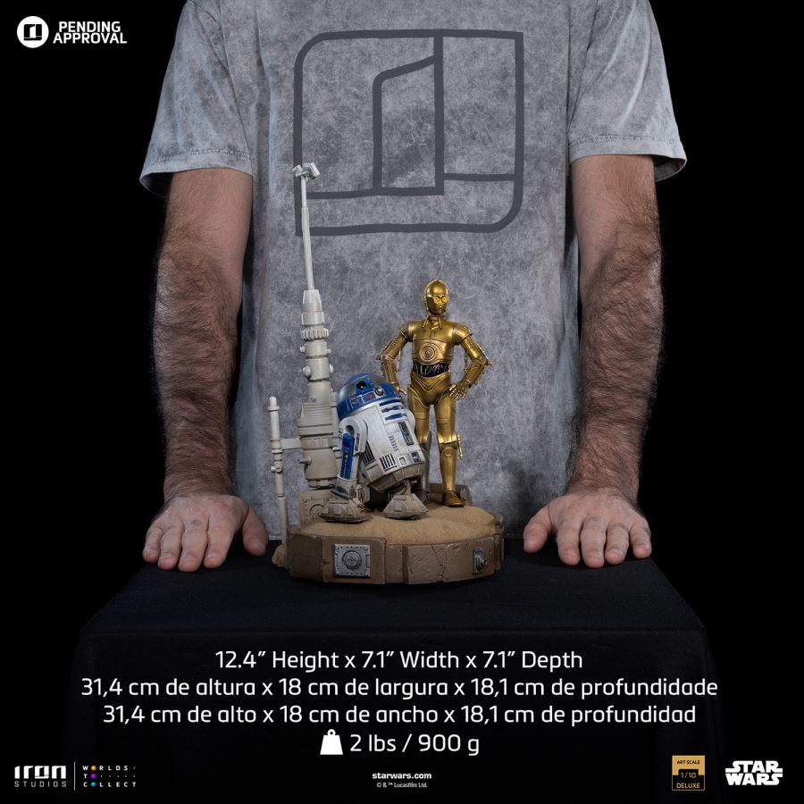 C-3PO AND R2-D2 DELUXE