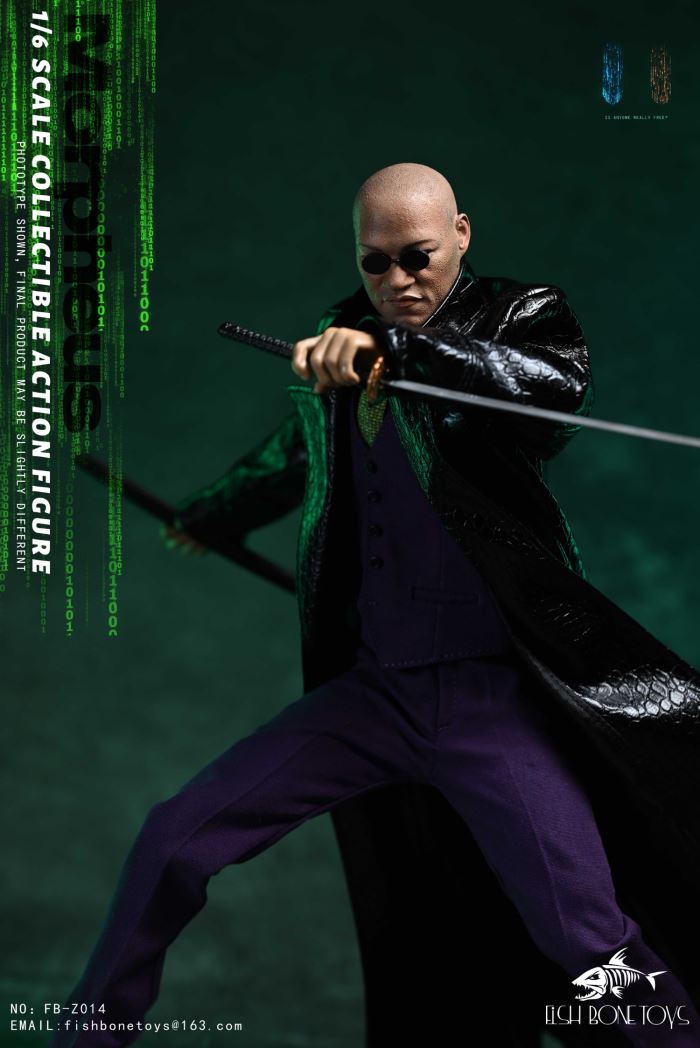 Matrix Hacker 1/6