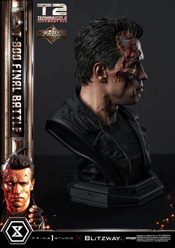 Terminator 2: Judgment Day  T-800 Final Battle DX Version