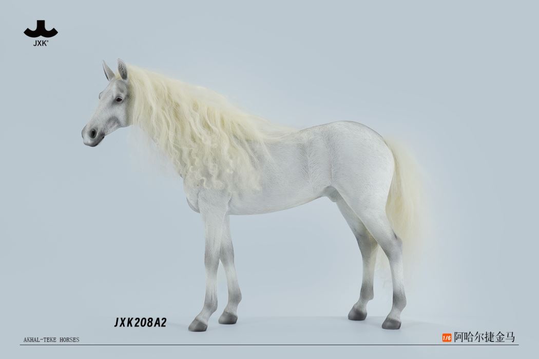 Akhal-teke horses 1/6