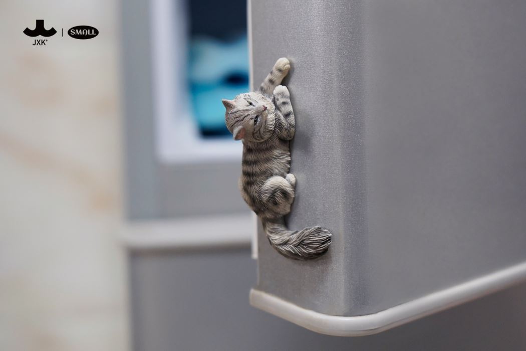 mini maine coon cat [JS2310]