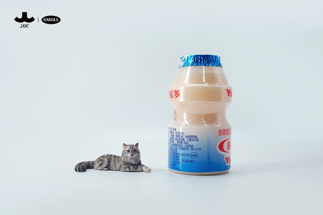 mini maine coon cat [JS2310]