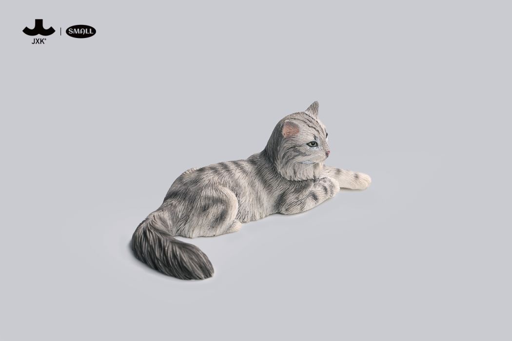 mini maine coon cat [JS2310]