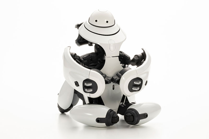 MARUTTOYS MAMORU [ Black / White ] 1/12