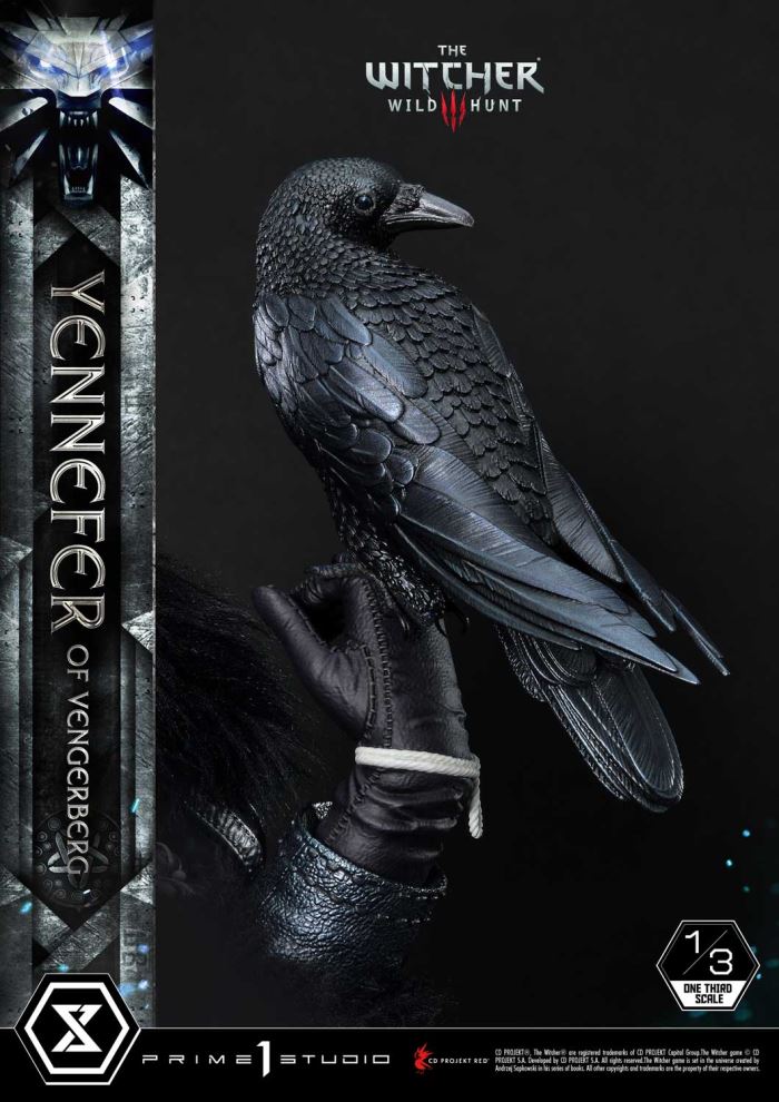 The Witcher 3: Wild Hunt  Yennefer DX version