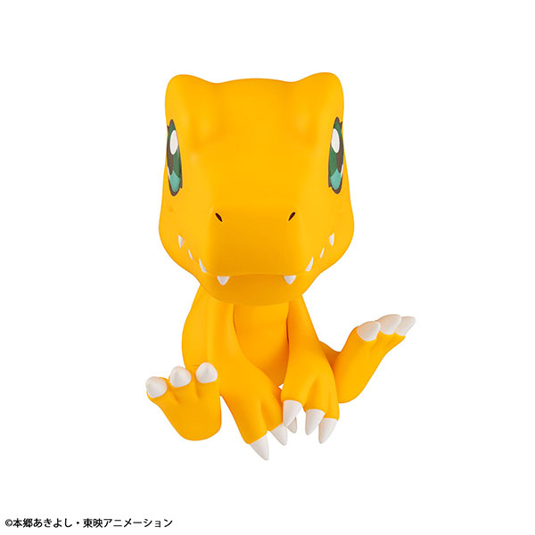 LookUp Digimon Adventure - Agumon & Tailmon