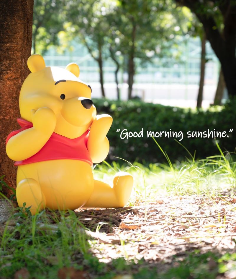 Winnie the Pooh Classic