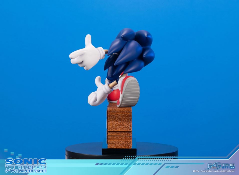 SONIC ADVENTURE - SONIC THE HEDGEHOG