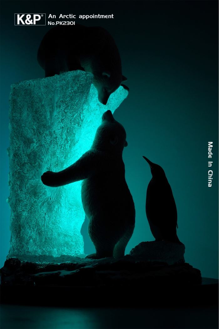 An Arctic Appointment