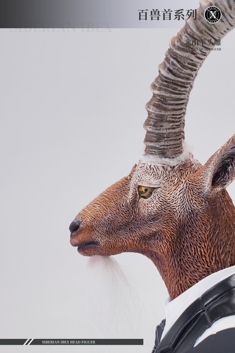 Siberian Ibex Head Figure