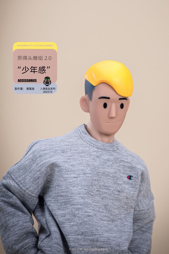 Male Doll Head Sculpture Set 2.0 Yellow Hair/Blue Hair 1/6