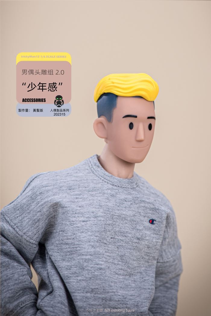 Male Doll Head Sculpture Set 2.0 Yellow Hair/Blue Hair 1/6