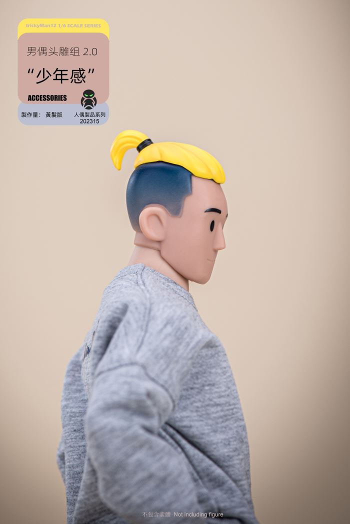 Male Doll Head Sculpture Set 2.0 Yellow Hair/Blue Hair 1/6