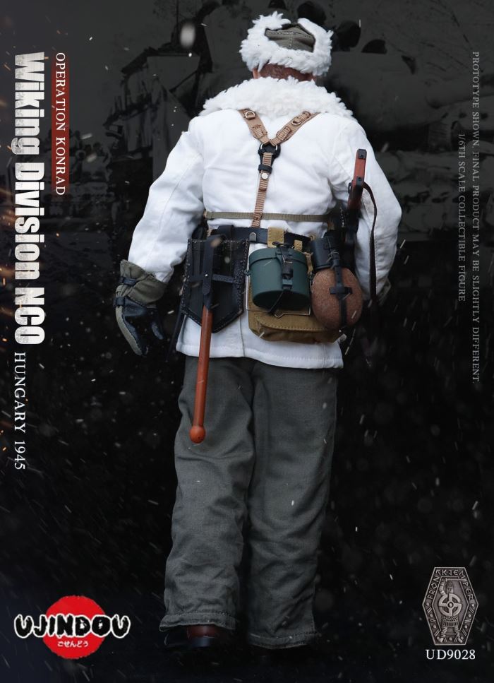 Wiking Division NCO_Operation Konrad_Hungary 1945