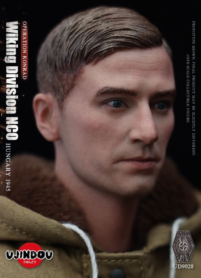 Wiking Division NCO_Operation Konrad_Hungary 1945