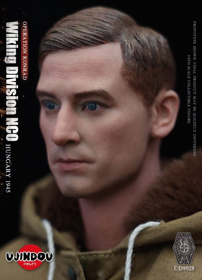 Wiking Division NCO_Operation Konrad_Hungary 1945