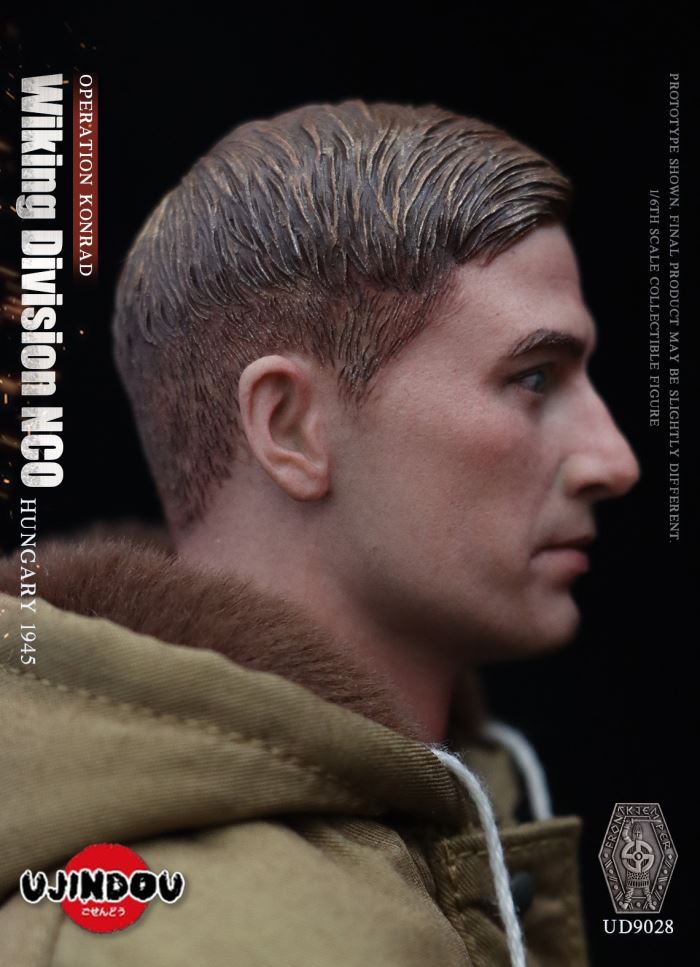 Wiking Division NCO_Operation Konrad_Hungary 1945