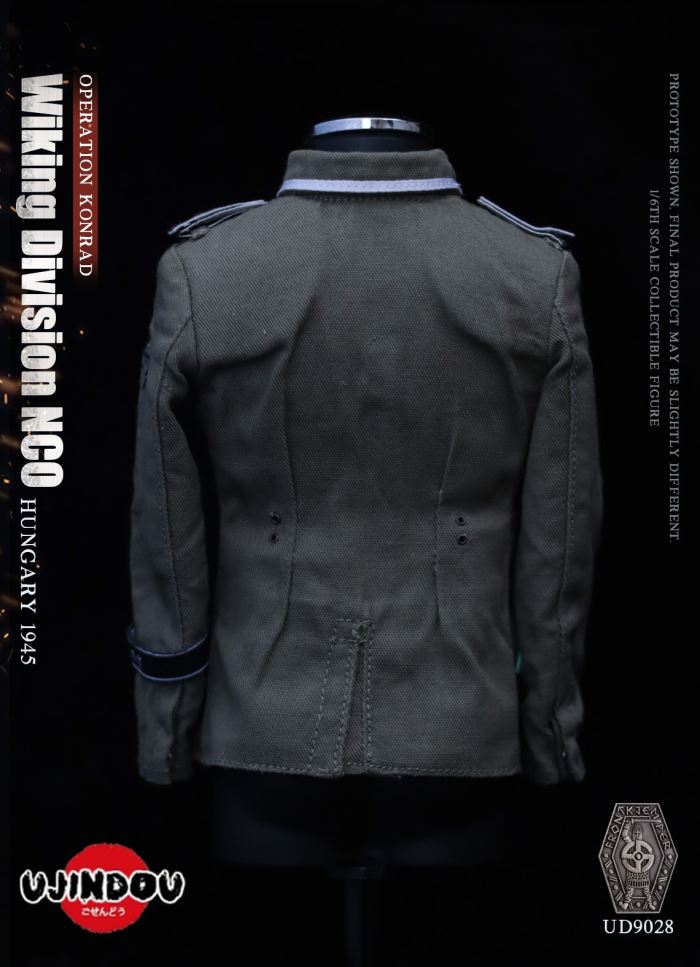 Wiking Division NCO_Operation Konrad_Hungary 1945