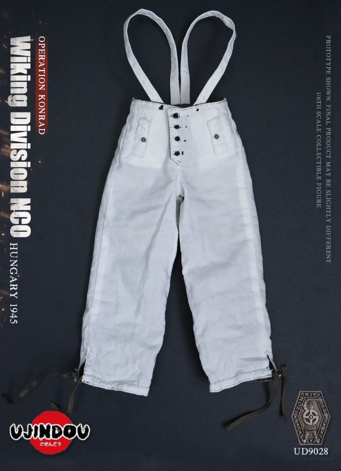 Wiking Division NCO_Operation Konrad_Hungary 1945