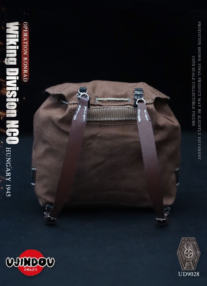 Wiking Division NCO_Operation Konrad_Hungary 1945