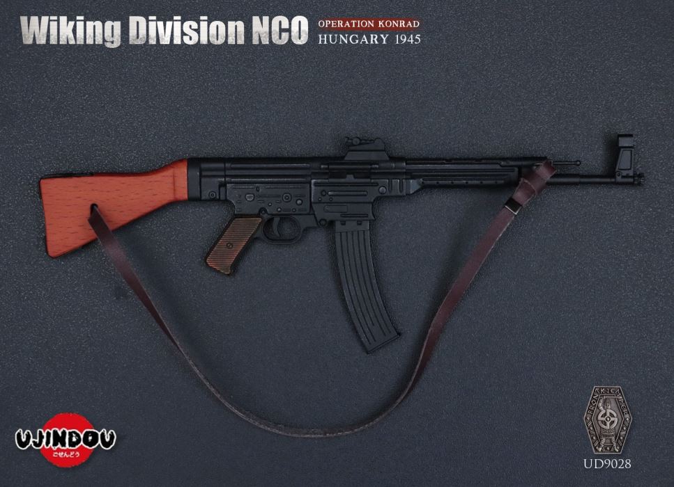 Wiking Division NCO_Operation Konrad_Hungary 1945