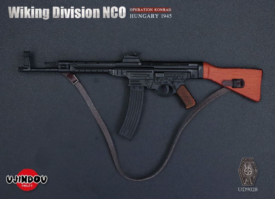 Wiking Division NCO_Operation Konrad_Hungary 1945