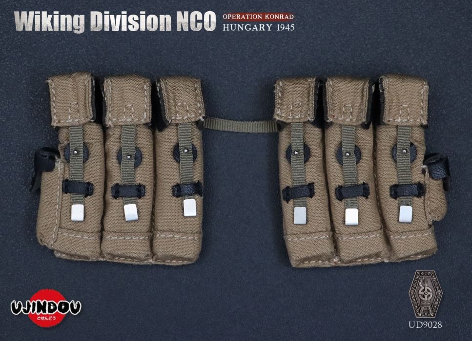 Wiking Division NCO_Operation Konrad_Hungary 1945