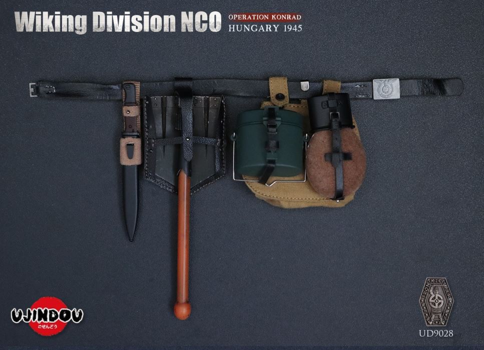Wiking Division NCO_Operation Konrad_Hungary 1945