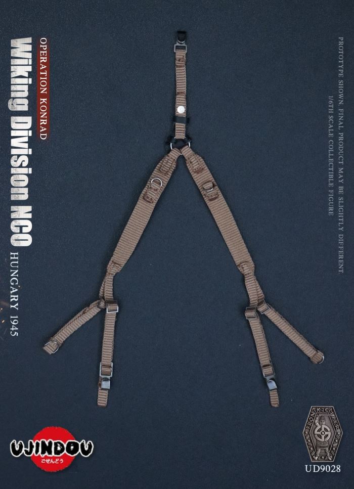 Wiking Division NCO_Operation Konrad_Hungary 1945